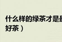 什么样的绿茶才是最好的（什么样的绿茶才是好茶）