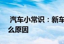  汽车小常识：新车原地打方向盘有异响是什么原因 