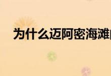  为什么迈阿密海滩的写字楼市场蓬勃发展 