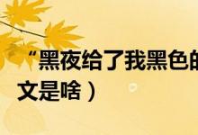 “黑夜给了我黑色的眼睛”是什么歌（歌词全文是啥）