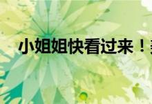  小姐姐快看过来！美图新机在工信部入网 
