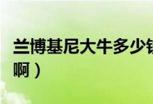 兰博基尼大牛多少钱啊（兰博基尼大牛多少钱啊）