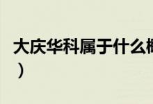 大庆华科属于什么概念（大庆华科市值是多少）