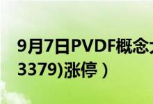 9月7日PVDF概念大涨3.67%（三美股份(603379)涨停）
