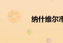  纳什维尔市中心的大计划 
