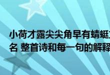 小荷才露尖尖角早有蜻蜓立上头前两句诗是什么（作者和诗名 整首诗和每一句的解释）