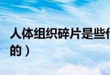 人体组织碎片是些什么东西（和遗体是有区别的）