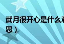 武月很开心是什么意思（武月很开心是什么意思）