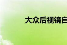 大众后视镜自动下降终级设置 
