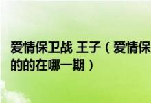 爱情保卫战 王子（爱情保卫战中有一个叫王子女的是做公关的的在哪一期）