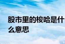 股市里的梭哈是什么意思 梭哈在股市里是什么意思