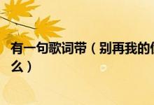 有一句歌词带（别再我的伤口上狂妄的撒盐 的歌的名字叫什么）