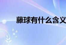 藤球有什么含义（藤球指的是什么）