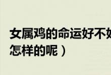 女属鸡的命运好不好（属鸡的女人命运究竟是怎样的呢）