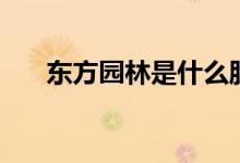 东方园林是什么股票（公司做什么的）