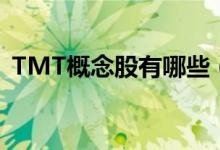 TMT概念股有哪些（TMT概念龙头股一览）