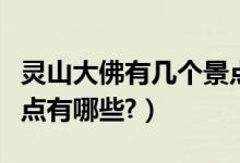 灵山大佛有几个景点（灵山大佛景区的主要景点有哪些?）