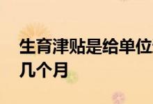 生育津贴是给单位还是个人 生育津贴可以领几个月 