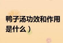 鸭子汤功效和作用（鸭子汤的做法与功效分别是什么）