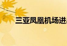 三亚凤凰机场进出港航班大面积取消