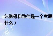 乞骸骨和致仕是一个意思吗（乞骸骨和致仕之间的区别都有什么）