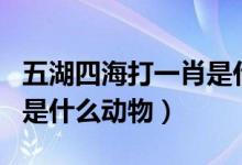 五湖四海打一肖是什么动物（五湖四海打一肖是什么动物）