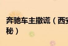 奔驰车主撒谎（西安奔驰女资料背景学历大揭秘）