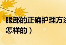 眼部的正确护理方法（眼部护理的正确步骤是怎样的）