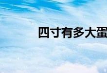 四寸有多大蛋糕（四寸有多大）