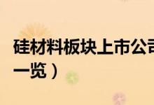 硅材料板块上市公司有哪些（硅材料股票名单一览）