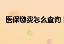 医保缴费怎么查询 医保缴费怎么网上缴费 