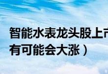 智能水表龙头股上市公司有哪些（哪些股票最有可能会大涨）