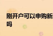 刚开户可以申购新股吗 刚开户可以申购新股吗 