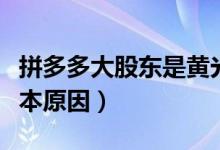 拼多多大股东是黄光裕吗（揭其进去坐牢的根本原因）