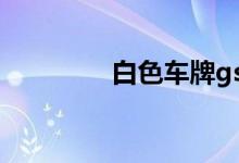  白色车牌gs开头是什么车? 
