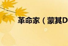 革命家（蒙其D多拉格有几种能力）