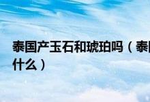 泰国产玉石和琥珀吗（泰国男子捡石头价值近百万海琥珀是什么）