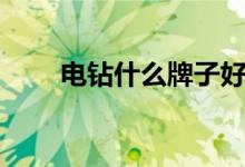 电钻什么牌子好（电钻什么牌子好）