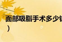 面部吸脂手术多少钱（为什么吸脂手术这么火）
