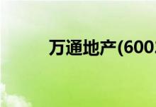 万通地产(600246)股票公司简介