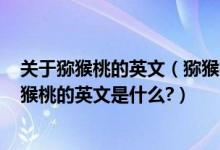 关于猕猴桃的英文（猕猴桃的英文是什么?如题在新西兰,猕猴桃的英文是什么?）