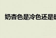 奶杏色是冷色还是暖色（奶杏色是什么色）
