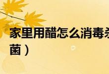家里用醋怎么消毒杀菌（家里用醋怎么消毒杀菌）