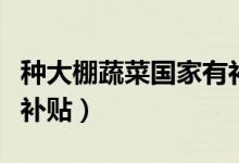 种大棚蔬菜国家有补贴吗（蔬菜大棚国家怎么补贴）