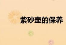 紫砂壶的保养（怎样保养紫砂壶）