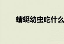 蜻蜓幼虫吃什么（蜻蜓幼虫吃什么）
