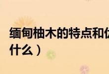缅甸柚木的特点和优点（缅甸柚木的优缺点是什么）