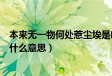 本来无一物何处惹尘埃是啥意思（本来无一物何处惹尘埃是什么意思）