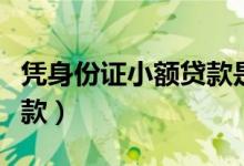 凭身份证小额贷款是真的吗（凭身份证小额贷款）