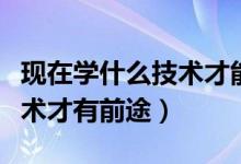 现在学什么技术才能养家糊口（现在学什么技术才有前途）